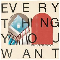 Everything You Want mp3 Album by Birds of Bellwoods