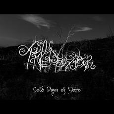 Cold Days of Yore mp3 Single by A Pale December