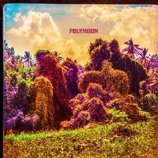 Chrysalis mp3 Album by POLYMOON