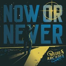 Now or Never mp3 Album by Blues Arcadia
