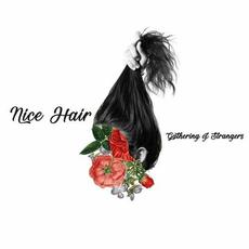Nice Hair mp3 Single by Gathering of Strangers