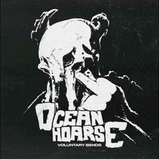 Voluntary Bends mp3 Album by Oceanhoarse