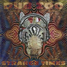 Strange Times mp3 Album by Dub Zoo