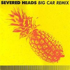 Big Car (Remix) mp3 Remix by Severed Heads