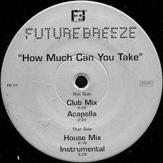 How Much Can You Take? mp3 Single by Future Breeze
