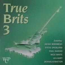 3 mp3 Album by True Brits