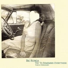 Try to Remember Everything mp3 Artist Compilation by Bic Runga