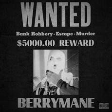 RISKY BIZNESS mp3 Album by Berrymane