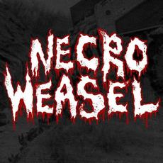 2020 mp3 Album by Necro Weasel