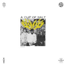 A Cup Of Salt mp3 Album by H. Hawkline