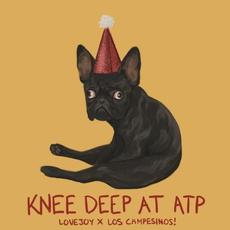 Knee Deep at ATP mp3 Single by Lovejoy