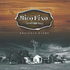 Southern Winds mp3 Album by Bico Fino Brother's Band