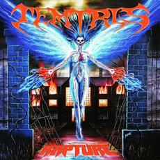 Rapture mp3 Album by Temtris