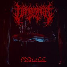 Malice mp3 Single by Vengeance