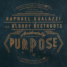 Accidentally on Purpose - Sanremo's Festival 2014 mp3 Live by Raphael Gualazzi