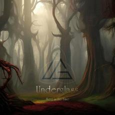 Here Is the Time mp3 Album by Underglass