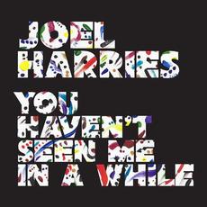 You Haven't Seen Me In A While mp3 Single by Joel Harries