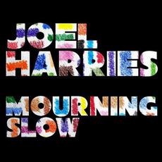 Mourning Slow mp3 Single by Joel Harries