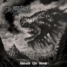 Unleash the Storm mp3 Album by Desolate Realm