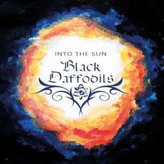 Into the Sun mp3 Album by Black Daffodils