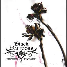 Broken Flower mp3 Album by Black Daffodils