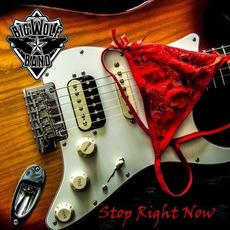 Stop Right Now mp3 Single by Big Wolf Band