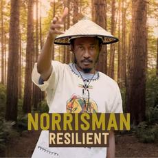 Resilient mp3 Single by Norrisman