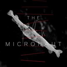 Friedfisch mp3 Album by The Micronaut