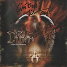 Into a New Dimension mp3 Album by Divinefire