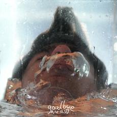 Goodbye mp3 Album by Niv Ast