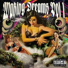 WAKING DREAMS mp3 Album by SLVG