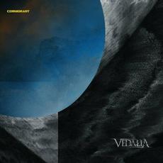 Cormorant mp3 Album by Vedalia
