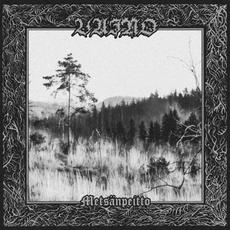 Metsänpeitto mp3 Album by Vaino