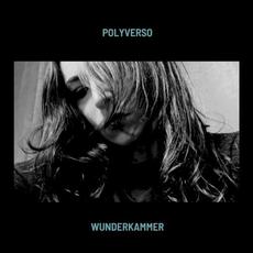 Wunderkammer mp3 Album by Polyverso