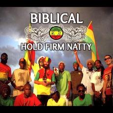 Hold Firm Natty mp3 Album by Biblical (2)