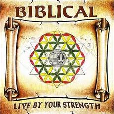 Live By Your Strength mp3 Album by Biblical (2)