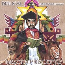 Inborn Precepts mp3 Album by Biblical (2)
