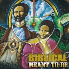 Meant To Be mp3 Album by Biblical (2)