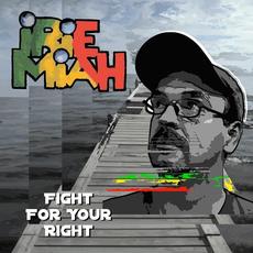 Fight for Your Right mp3 Single by Irie Miah