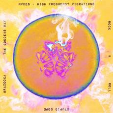 High Frequency Vibrations mp3 Single by NVDES