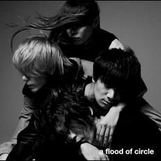 a flood of circle mp3 Album by a flood of circle