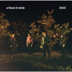 2020 mp3 Album by a flood of circle