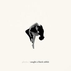 Caught a Black Rabbit mp3 Album by Phoria