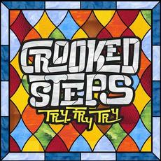 Try Try Try mp3 Single by Crooked Steps