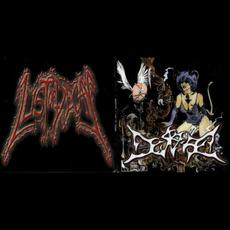 Despise / Lust of Decay mp3 Compilation by Various Artists