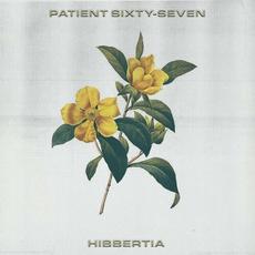 Hibbertia mp3 Single by Patient Sixty-Seven