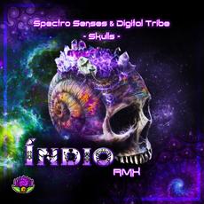 Skulls (Indio remix) mp3 Single by Digital Tribe