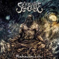 Mahasamadhi mp3 Album by Selenite