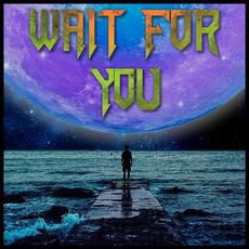 Wait for You mp3 Single by Iravera