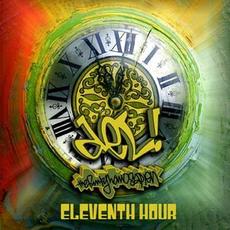 Eleventh Hour mp3 Album by Del The Funky Homosapien